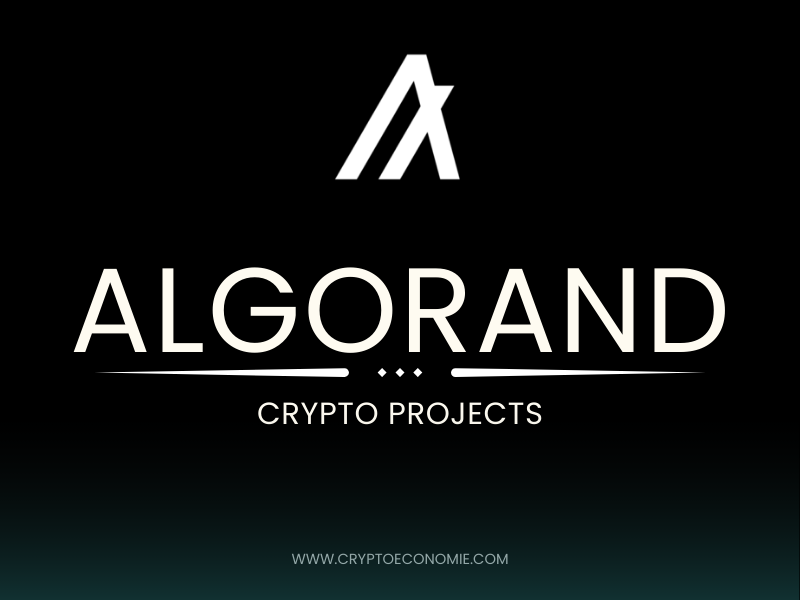 what is algorand (algo)? how does algorand work? ALGORAND pros and cons