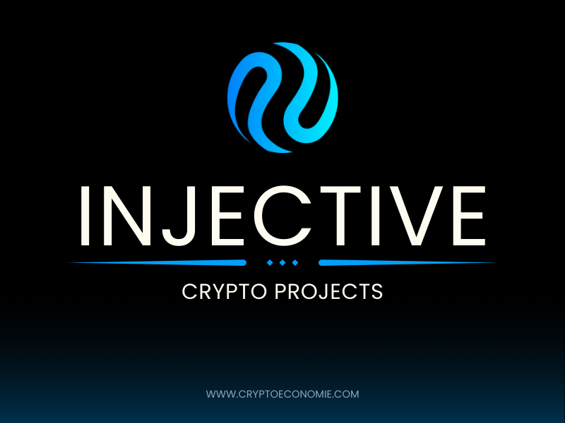 What is Injective (inj)? How Does Injective Work? Pros and Cons