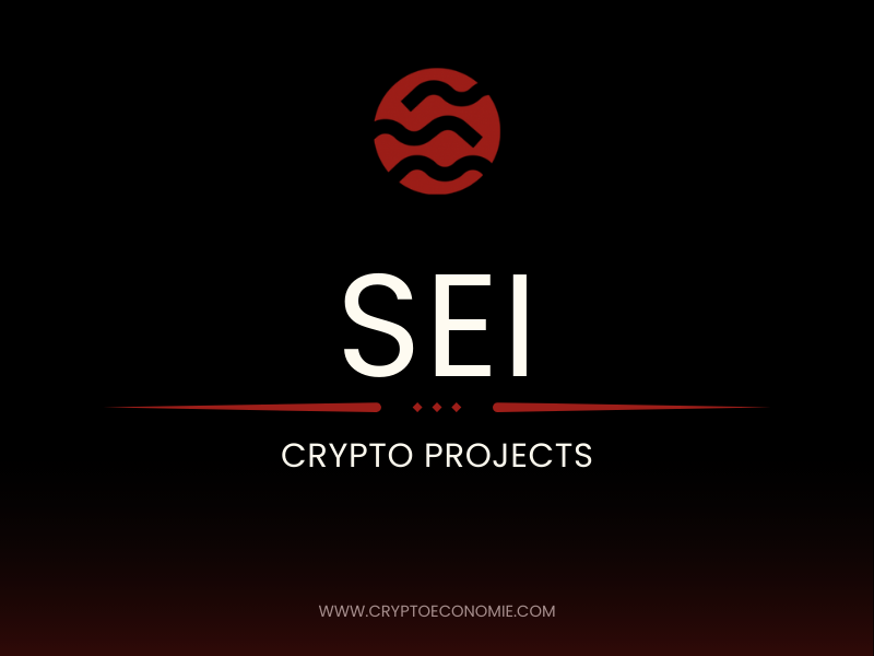 What is SEI(SEI)? How Does SEI Work? Pros and Cons-beginner guide-2025