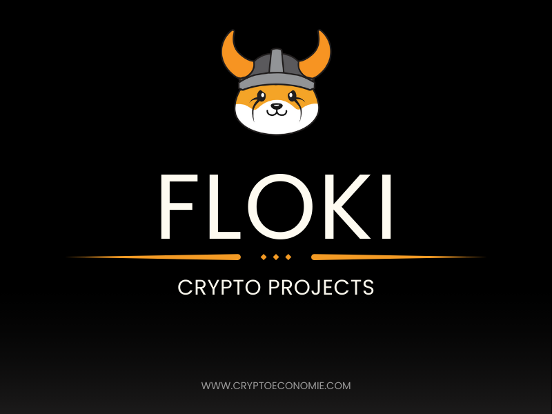 What is Floki Crypto? How Does Floki Work? Pros and Cons