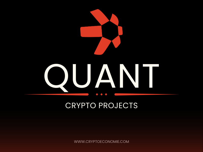 What is Quant (QNT) Crypto? How Does Quant Work? Pros and Cons