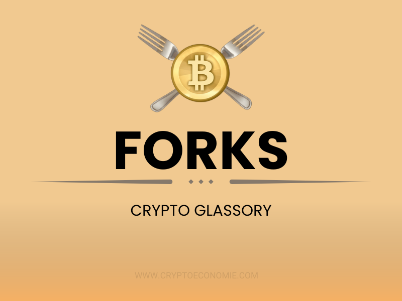 Understanding Forks in Cryptocurrency?What are the types of forks-Beginners guide