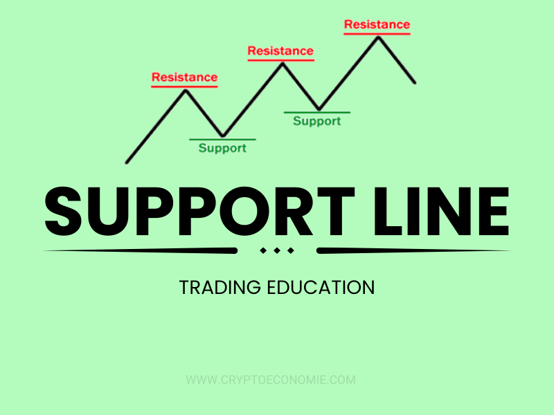 what is the Support Line in Trading-A Comprehensive Guide